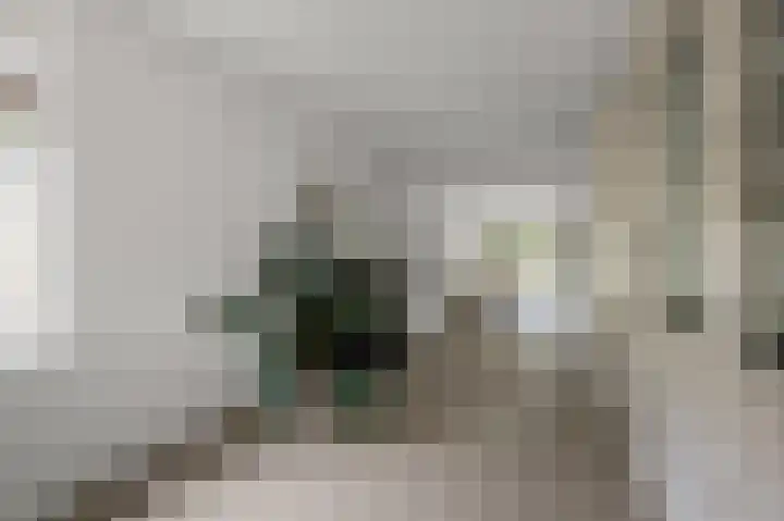 Van de Vijzellaan 10 Sint Pancras thumbnail 7