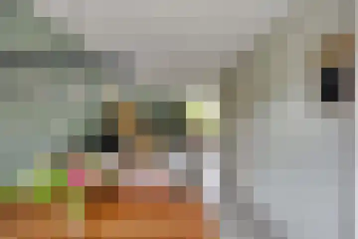 van de Wall Bakestraat 3 Nieuweroord thumbnail 12