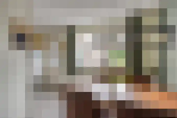 van de Wall Bakestraat 3 Nieuweroord thumbnail 13