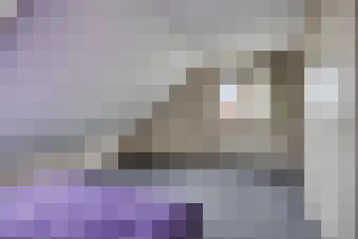 van de Wall Bakestraat 3 Nieuweroord thumbnail 24