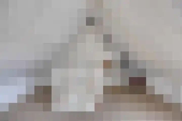 van de Wall Bakestraat 3 Nieuweroord thumbnail 30