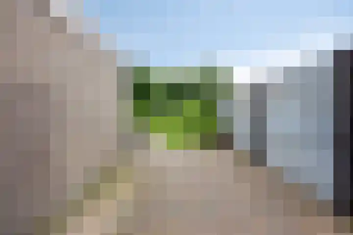 van de Wall Bakestraat 3 Nieuweroord thumbnail 31
