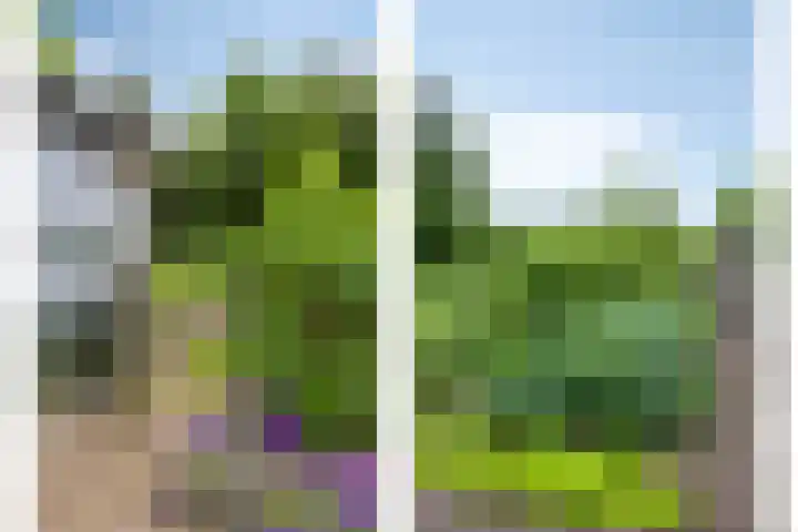 van de Wall Bakestraat 3 Nieuweroord thumbnail 35