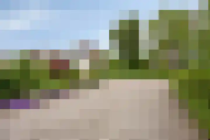 van de Wall Bakestraat 3 Nieuweroord thumbnail 38