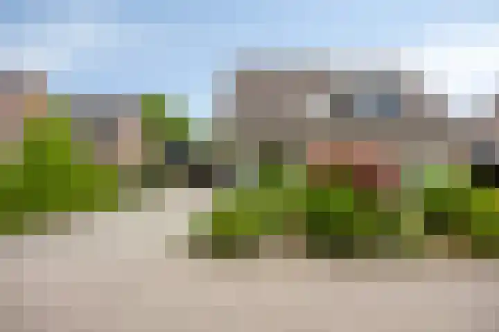 van de Wall Bakestraat 3 Nieuweroord thumbnail 40