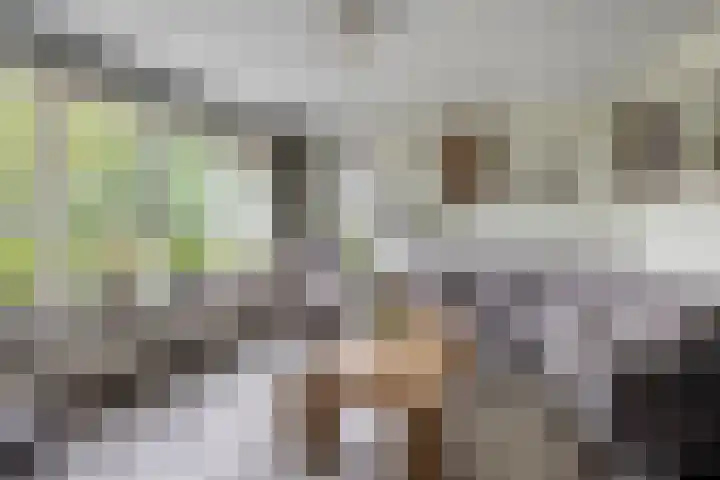 van de Wall Bakestraat 3 Nieuweroord thumbnail 6