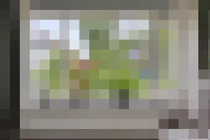 van de Wall Bakestraat 3 Nieuweroord thumbnail 7