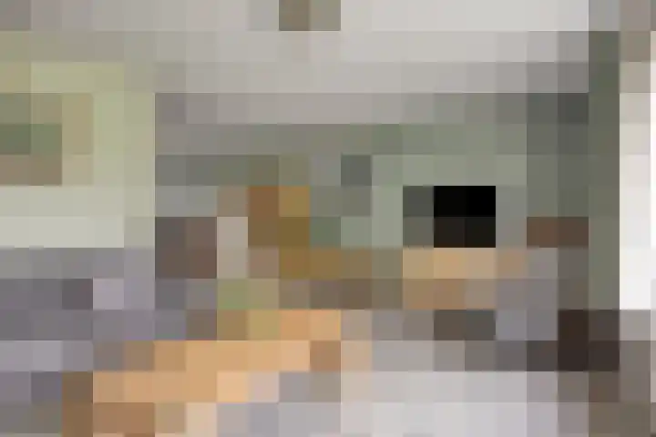 van de Wall Bakestraat 3 Nieuweroord thumbnail 8