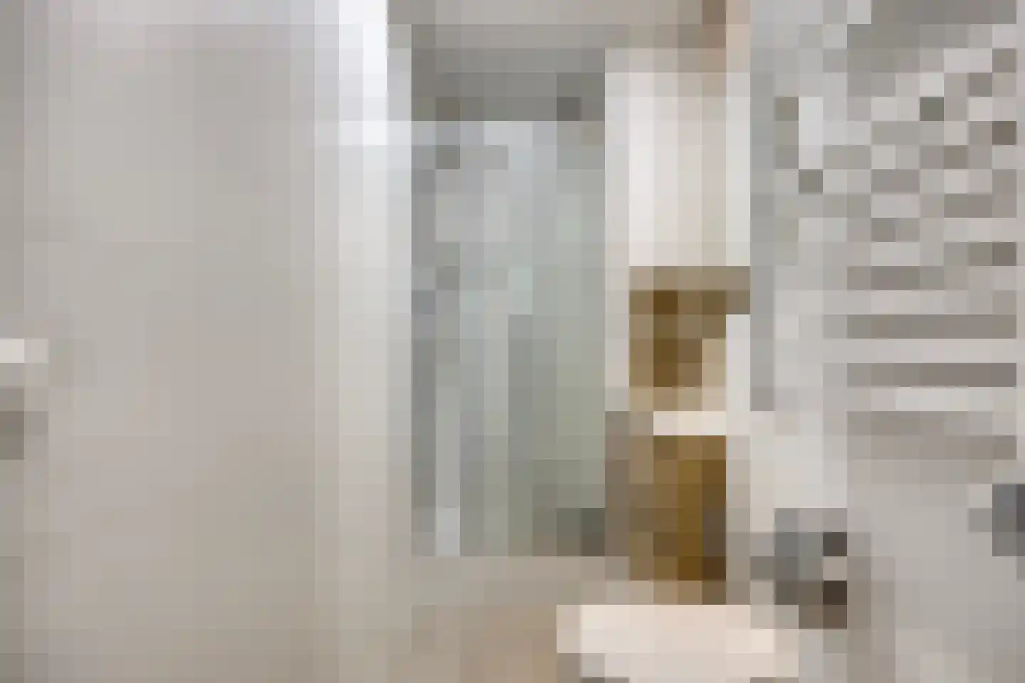 van de Wateringelaan 101 Voorburg thumbnail 20