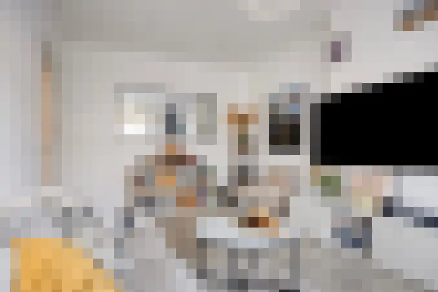 van de Wateringelaan 101 Voorburg thumbnail 7
