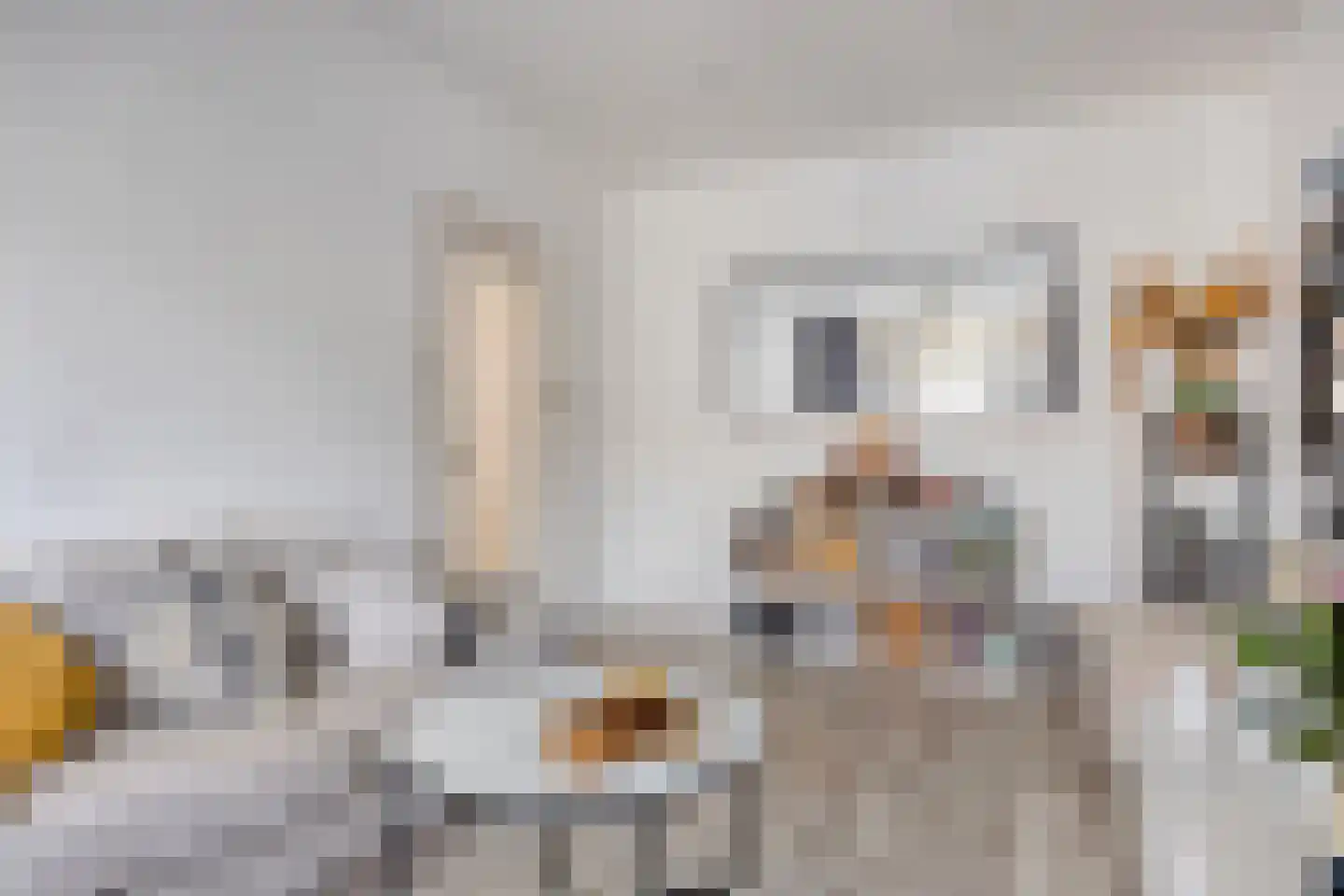 van de Wateringelaan 101 Voorburg thumbnail 8