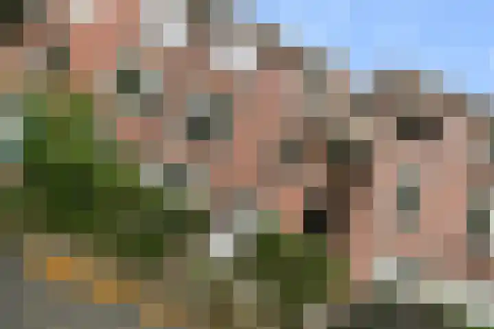 van de Wateringelaan 104 Voorburg thumbnail 20