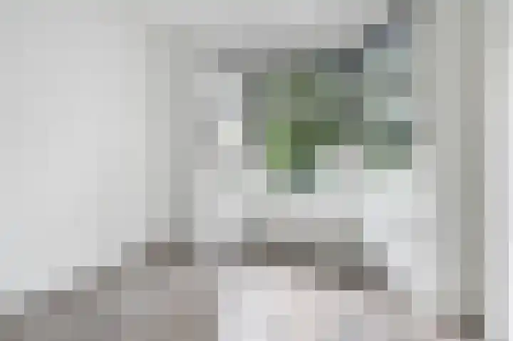 van de Wateringelaan 104 Voorburg thumbnail 5