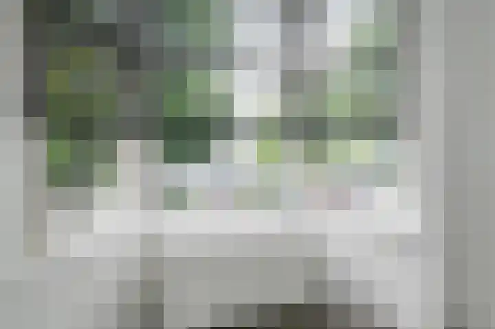 van de Wateringelaan 104 Voorburg thumbnail 6