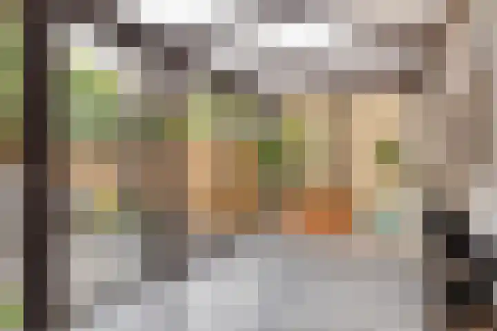 van de Wateringelaan 108 Voorburg thumbnail 21