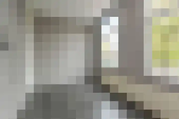 van de Wateringelaan 149 Voorburg thumbnail 27