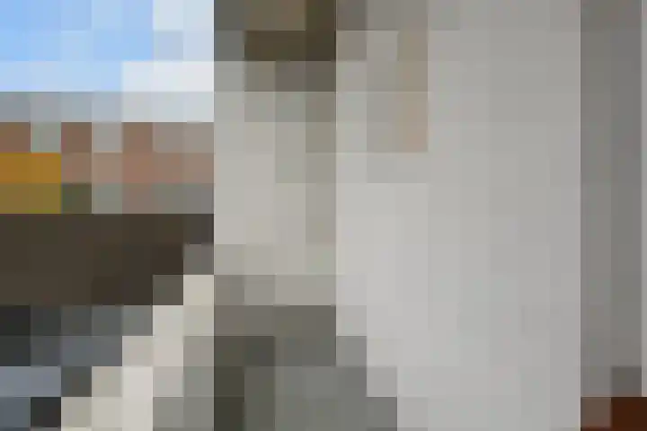van de Wateringelaan 149 Voorburg thumbnail 32