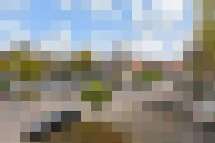 van de Wateringelaan 149 Voorburg thumbnail 4