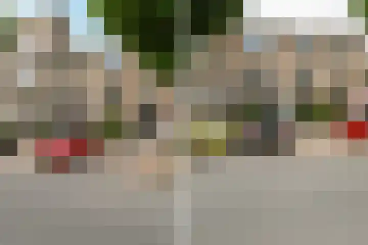 van de Wateringelaan 163 Voorburg thumbnail 43