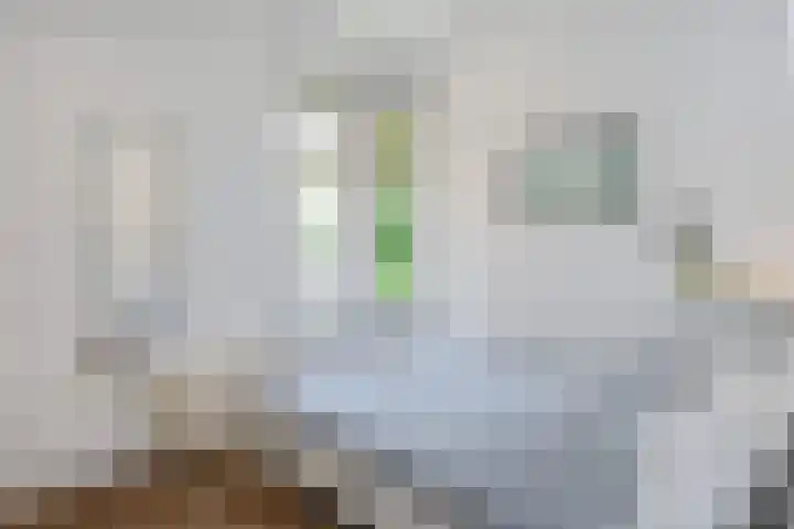 van de Wateringelaan 172 Voorburg thumbnail 34