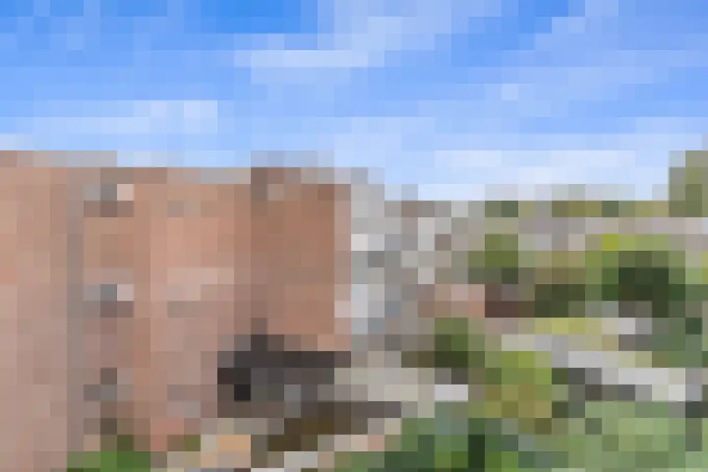 van de Wateringelaan 175 Voorburg thumbnail 35