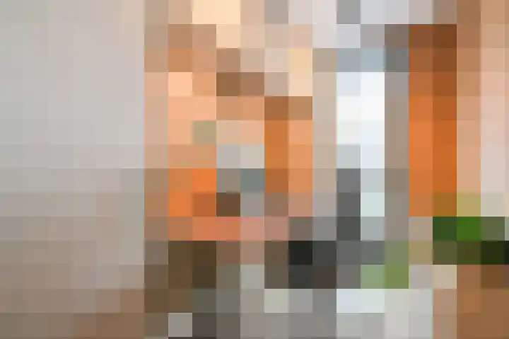 van de Wateringelaan 182 Voorburg thumbnail 37