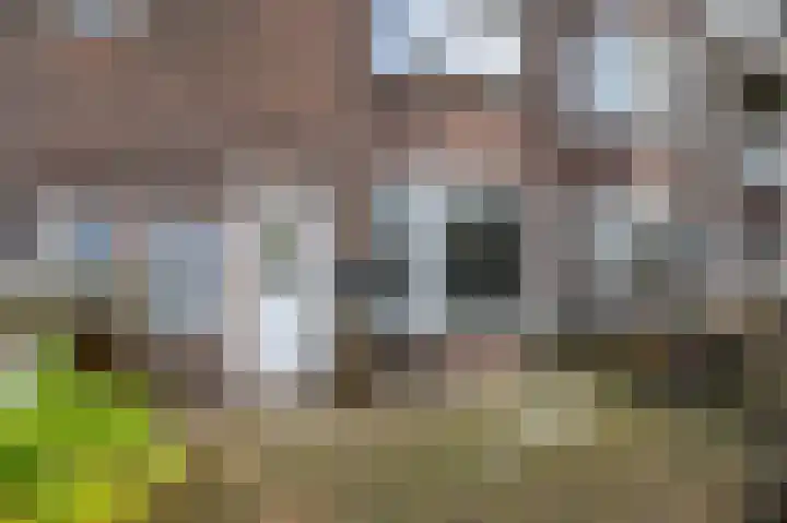 van de Wateringelaan 182 Voorburg thumbnail 5