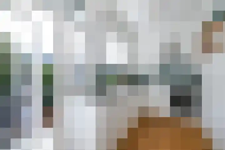 van de Wateringelaan 190 Voorburg thumbnail 13