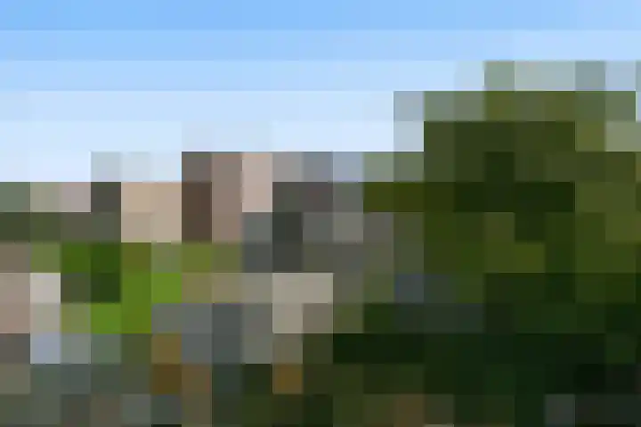 van de Wateringelaan 190 Voorburg thumbnail 16