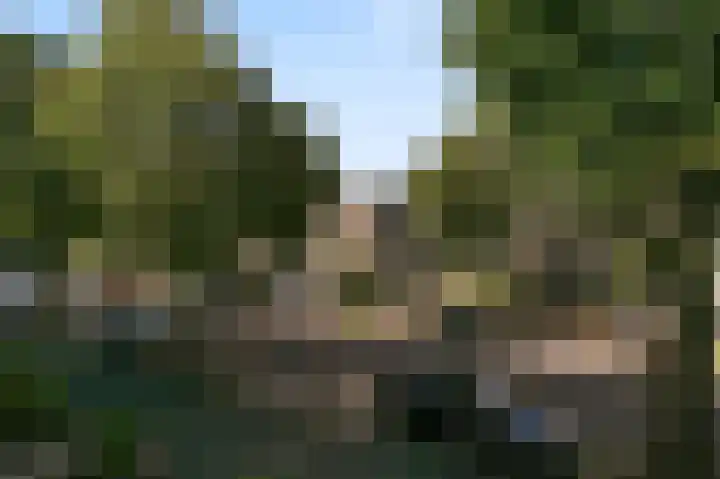 van de Wateringelaan 190 Voorburg thumbnail 5