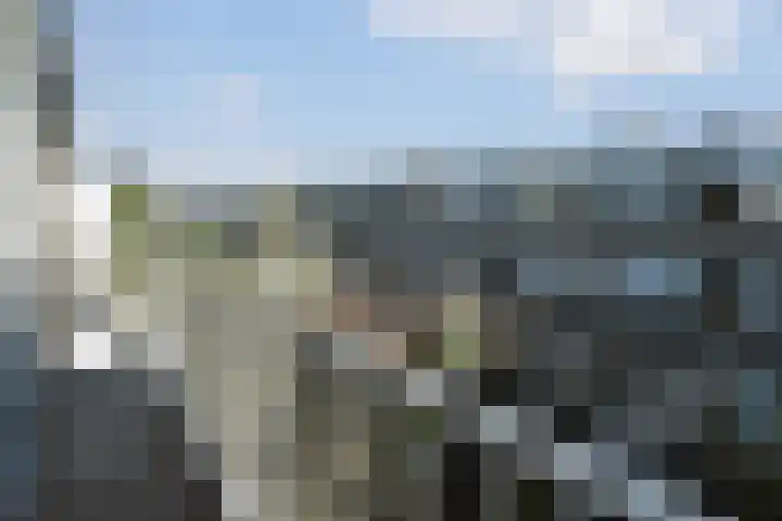 van de Wateringelaan 20 Voorburg thumbnail 16