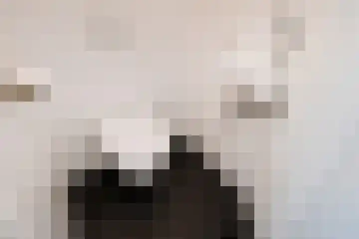 van de Wateringelaan 20 Voorburg thumbnail 23