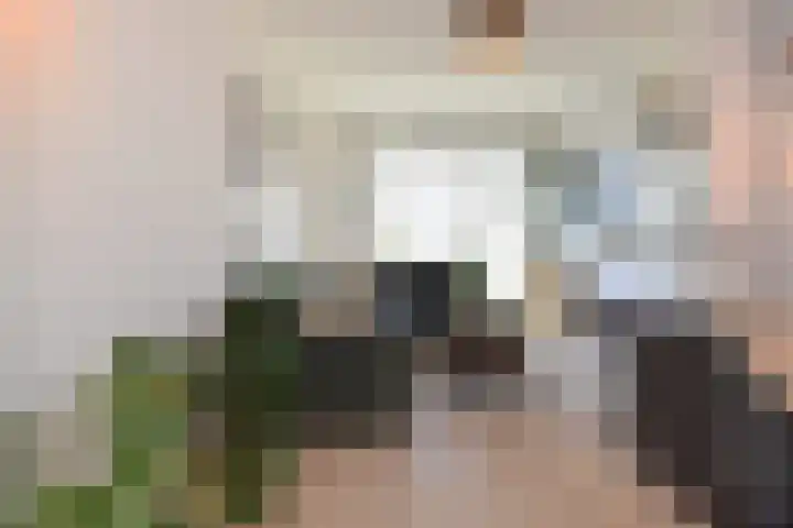 van de Wateringelaan 20 Voorburg thumbnail 6