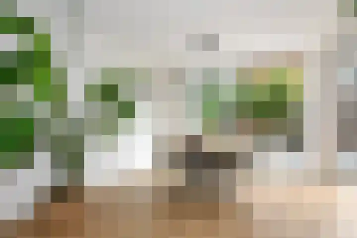 van de Wateringelaan 204 Voorburg thumbnail 10