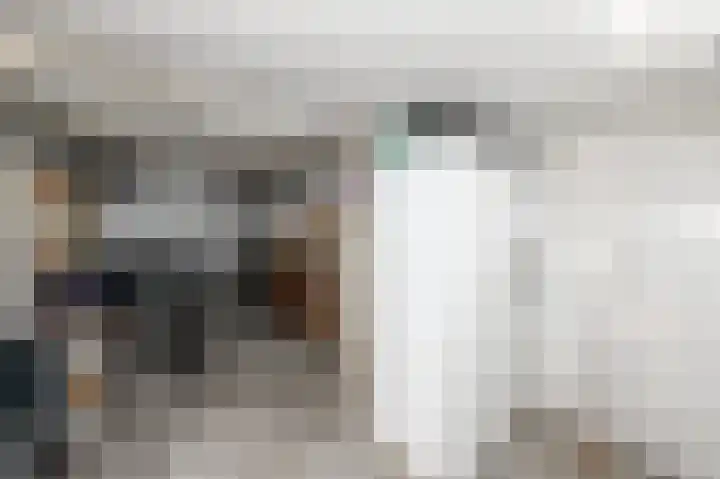 van de Wateringelaan 204 Voorburg thumbnail 32