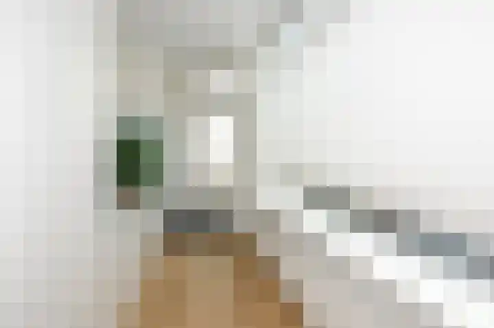 van de Wateringelaan 204 Voorburg thumbnail 34
