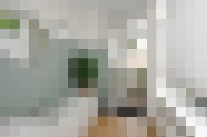 van de Wateringelaan 204 Voorburg thumbnail 35