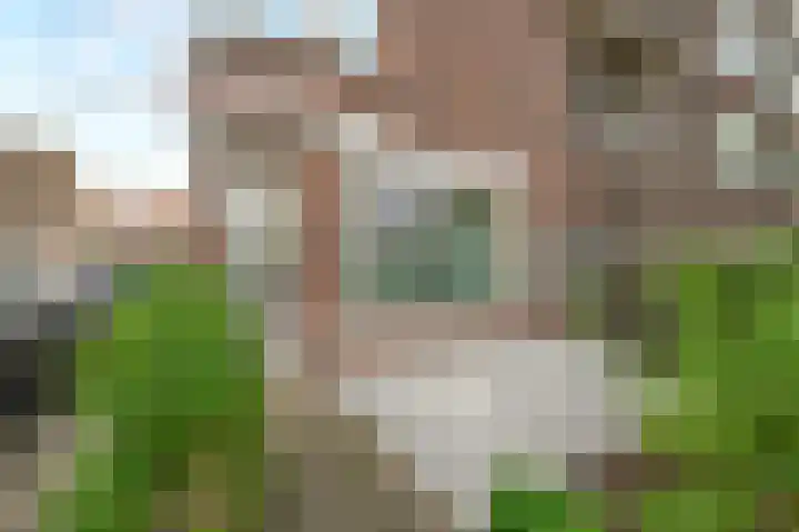 van de Wateringelaan 204 Voorburg thumbnail 5