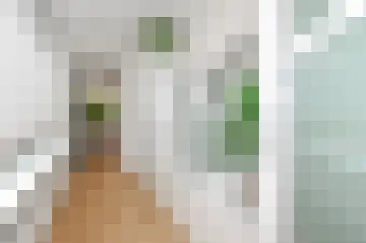 van de Wateringelaan 204 Voorburg thumbnail 7