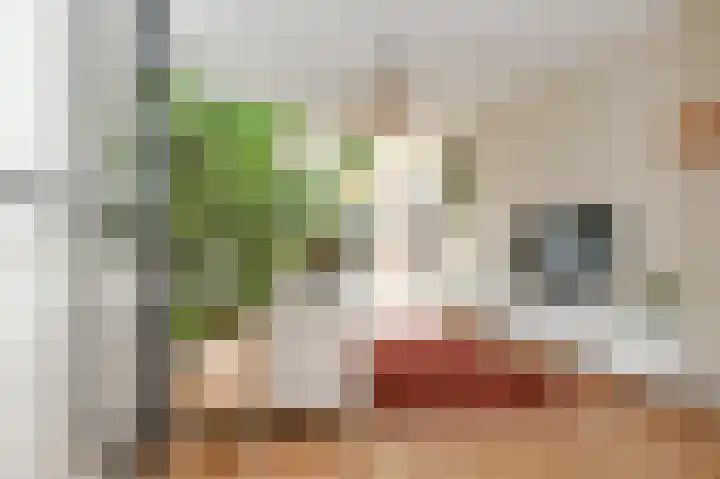 van de Wateringelaan 204 Voorburg thumbnail 8