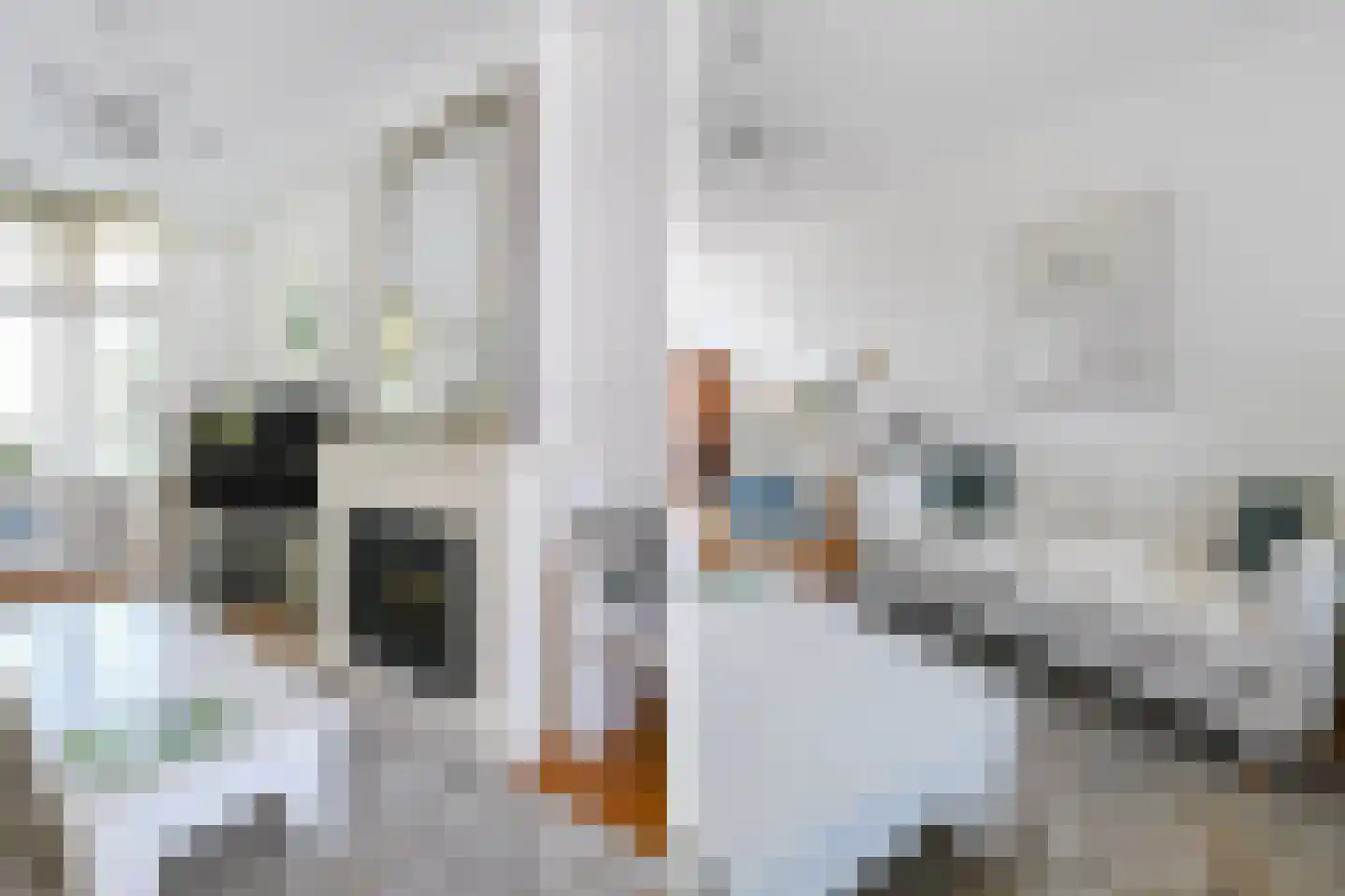 van de Wateringelaan 211 Voorburg thumbnail 15