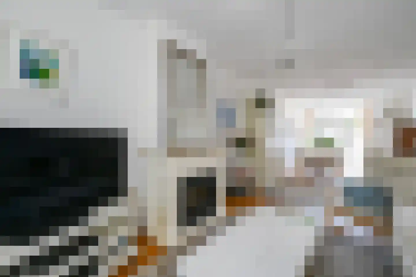 van de Wateringelaan 211 Voorburg thumbnail 16