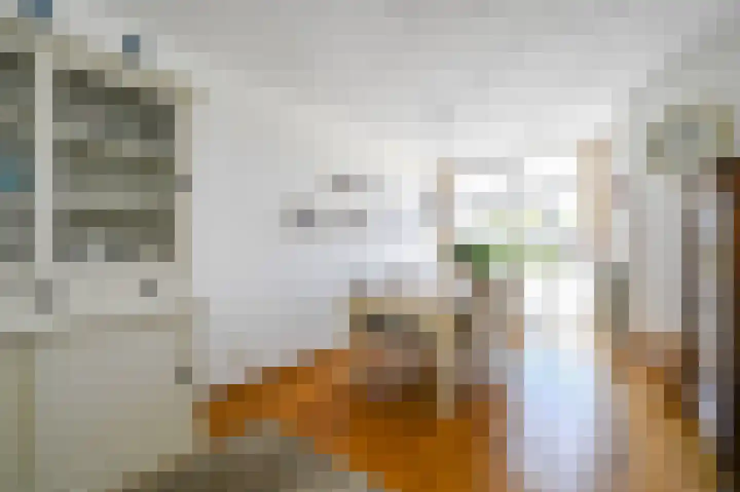 van de Wateringelaan 211 Voorburg thumbnail 19