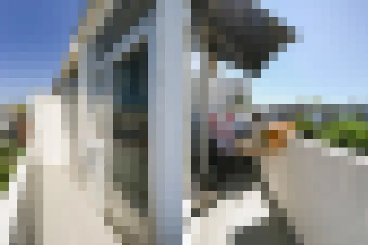van de Wateringelaan 211 Voorburg thumbnail 22