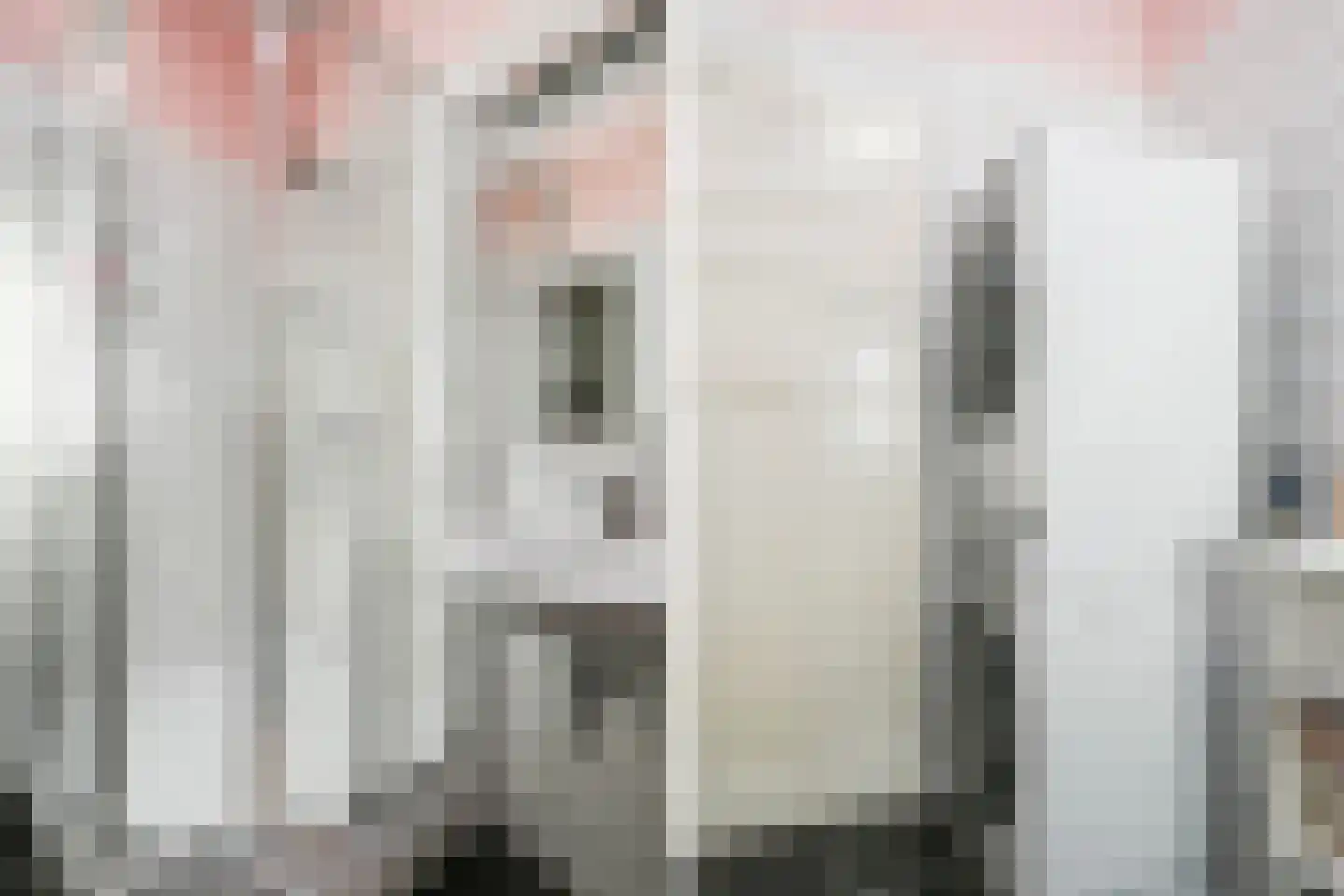 van de Wateringelaan 211 Voorburg thumbnail 32