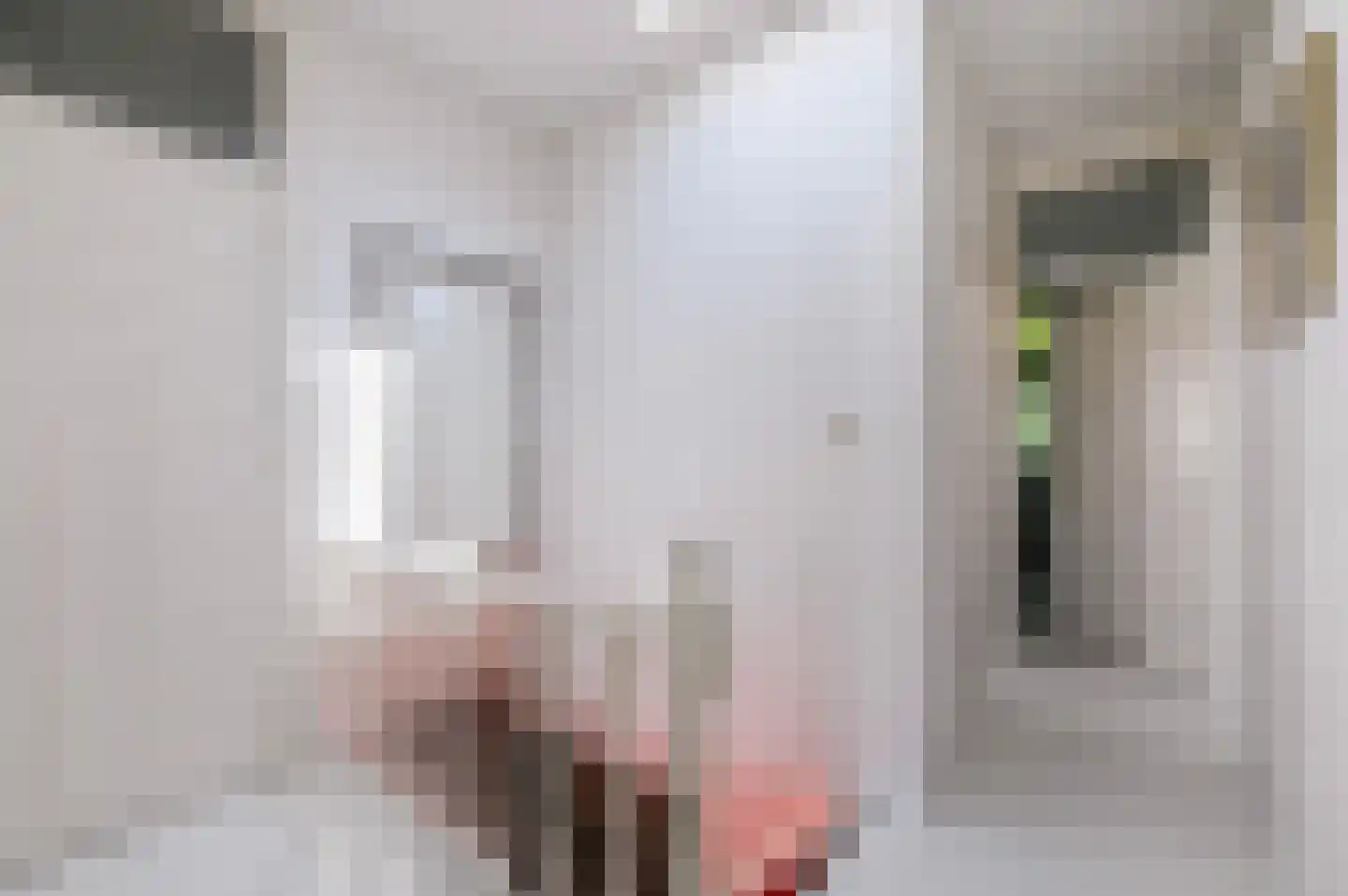 van de Wateringelaan 211 Voorburg thumbnail 5