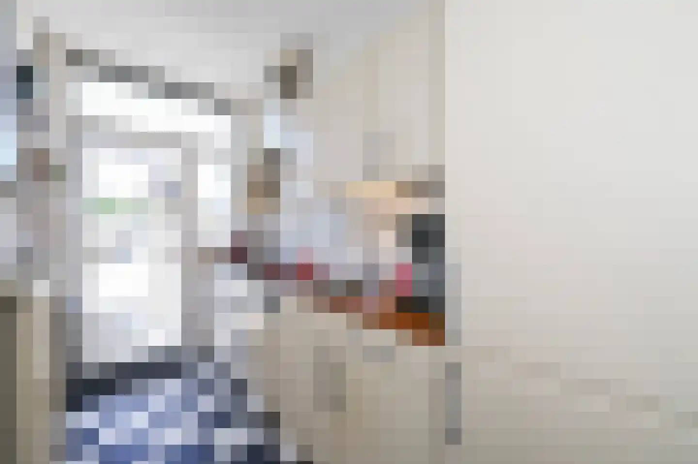 van de Wateringelaan 211 Voorburg thumbnail 7