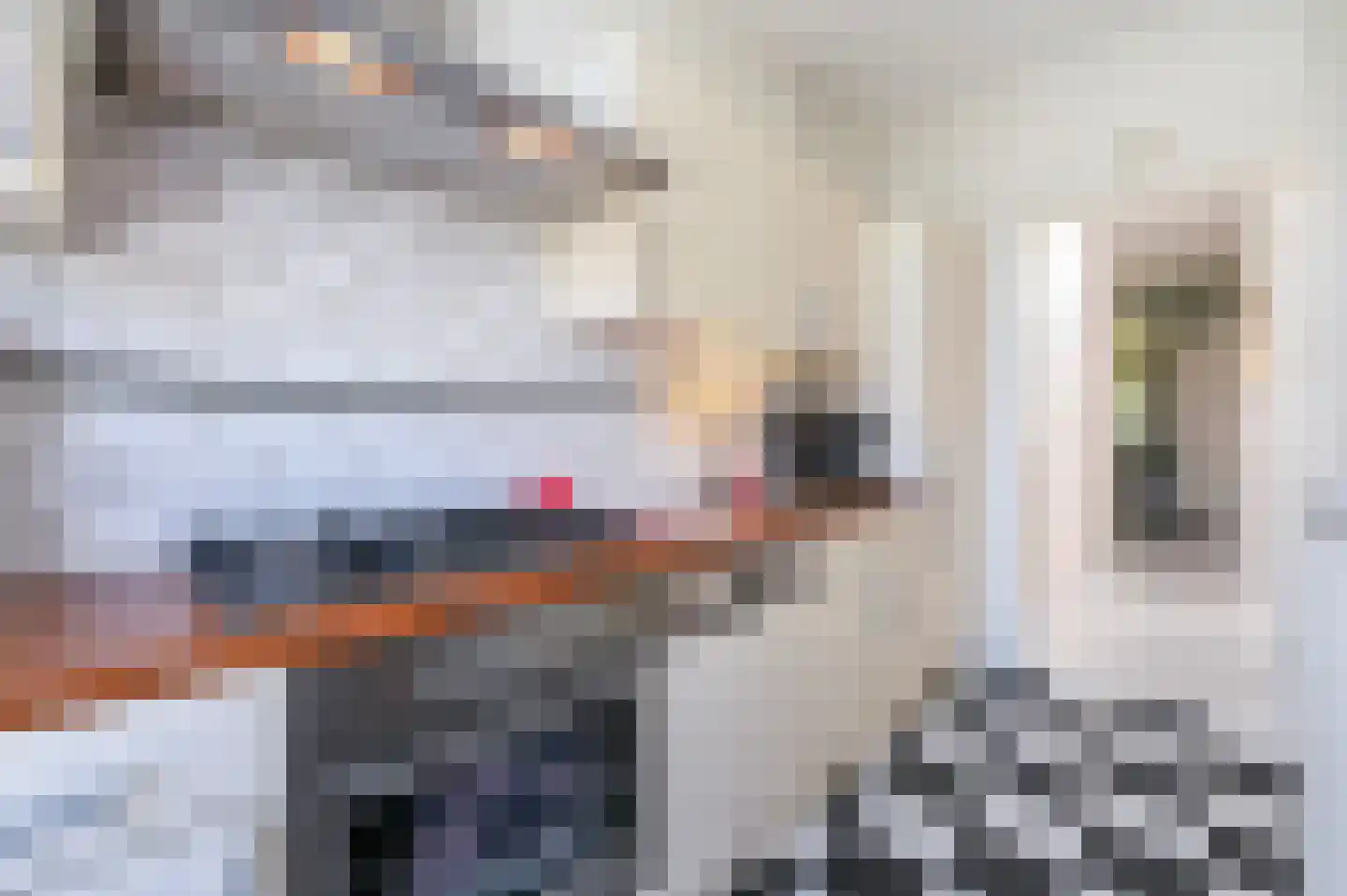 van de Wateringelaan 211 Voorburg thumbnail 9