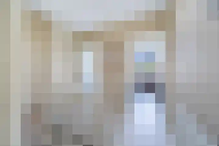 van de Wateringelaan 213 Voorburg thumbnail 5
