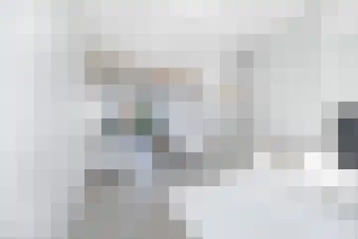 van de Wateringelaan 213 Voorburg thumbnail 6